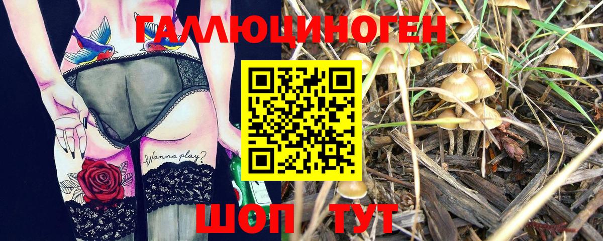 Галлюциногенные грибы GOLDEN TEACHER Трёхгорный